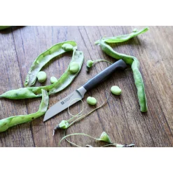 Discount ZWILLING Gemüsemesser VIER STERNE