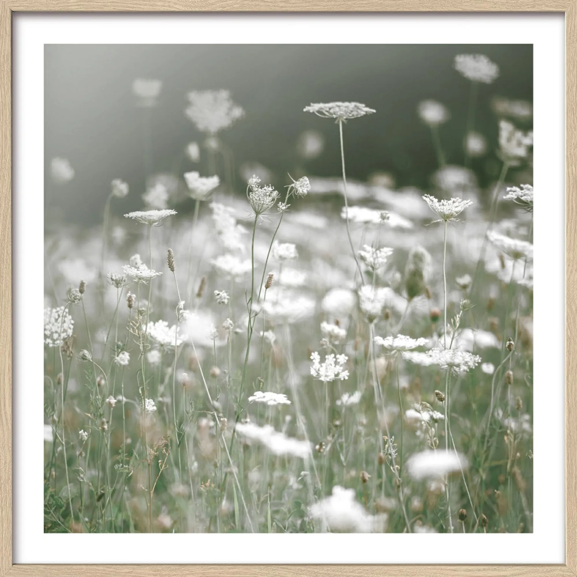 PRO ART Gerahmtes Bild