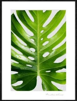 PRO ART Gerahmtes Bild AN771B25