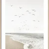 PRO ART Gerahmtes Bild AT THE COAST I