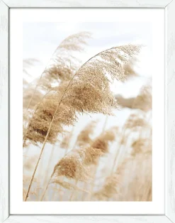 PRO ART Gerahmtes Bild COAST III