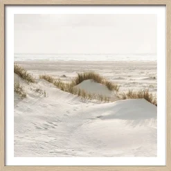 PRO ART Gerahmtes Bild DRIED FIBER IV