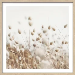 Discount PRO ART Gerahmtes Bild DRIED FIBER IV