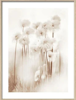 PRO ART Gerahmtes Bild DRIED FIBER VII