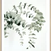 PRO ART Gerahmtes Bild EUCALYPTUS