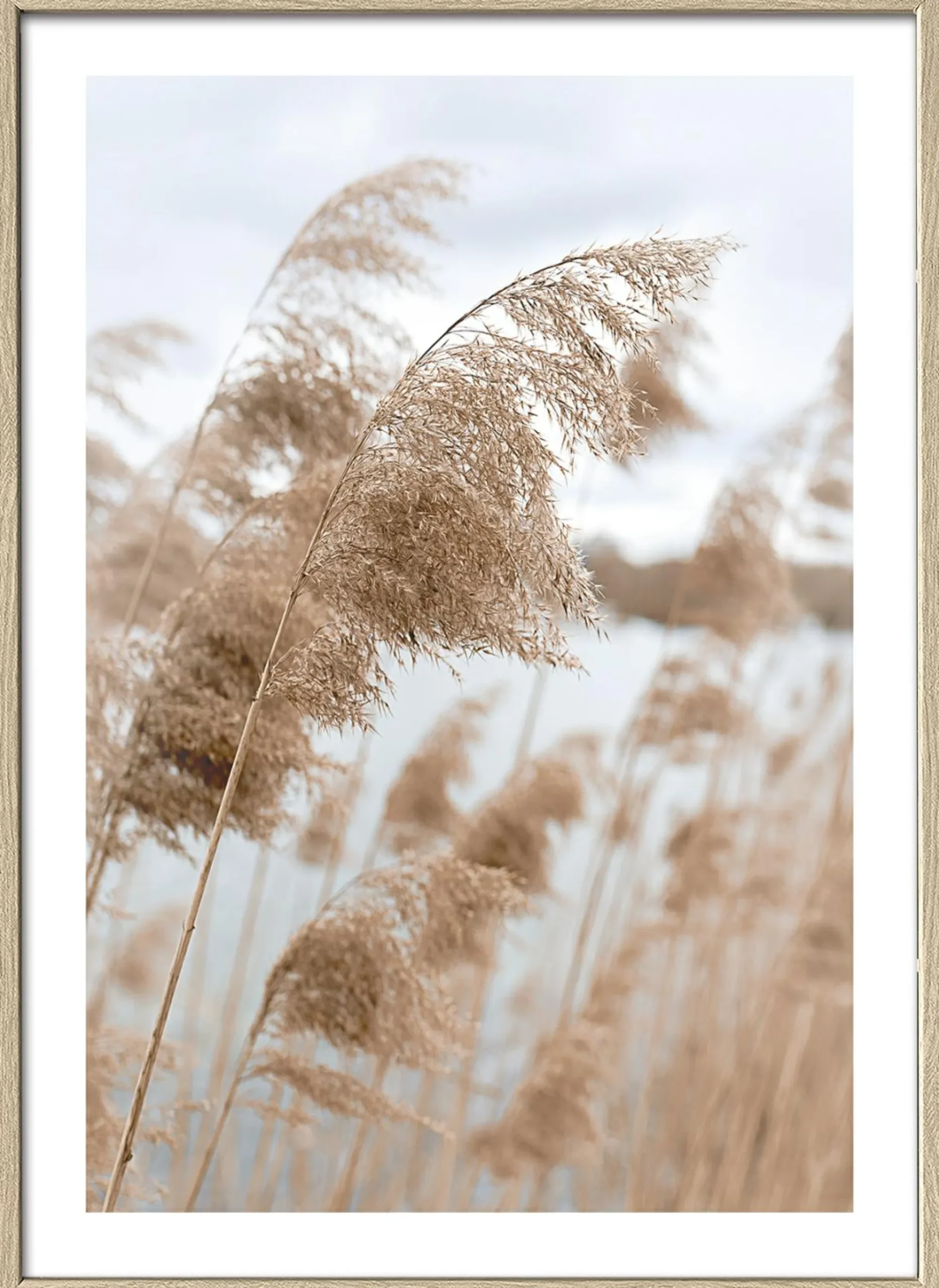 Outlet PRO ART Gerahmtes Bild IN THE BREEZE