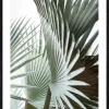PRO ART Gerahmtes Bild JUNGLE LEAVES
