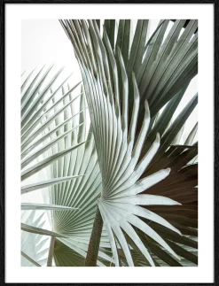 PRO ART Gerahmtes Bild JUNGLE LEAVES