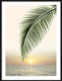 Outlet PRO ART Gerahmtes Bild JUNGLE LEAVES