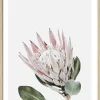 Sale PRO ART Gerahmtes Bild KING PROTEA
