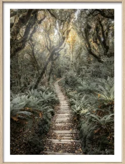 Clearance PRO ART Gerahmtes Bild THROUGH THE