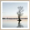Outlet PRO ART Gerahmtes Bild TREE IN A LAKE