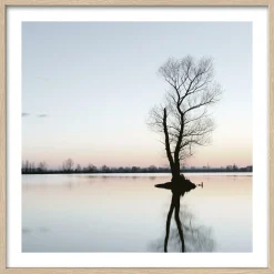 Outlet PRO ART Gerahmtes Bild TREE IN A LAKE