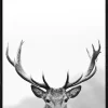 Sale PRO ART Gerahmtes-Bild GREY DEER HEAD