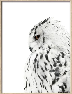 PRO ART Gerahmtes-Bild SNOW OWL