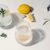 Best ZWIESEL Gin-Tonic-Glas-Set BAR SPECIAL
