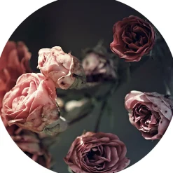 Hot PRO ART Glasbild BEAUTIFUL ROSES