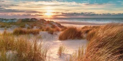 Sonstige Glasbild DÜNEN IM SONNENAUFGAN