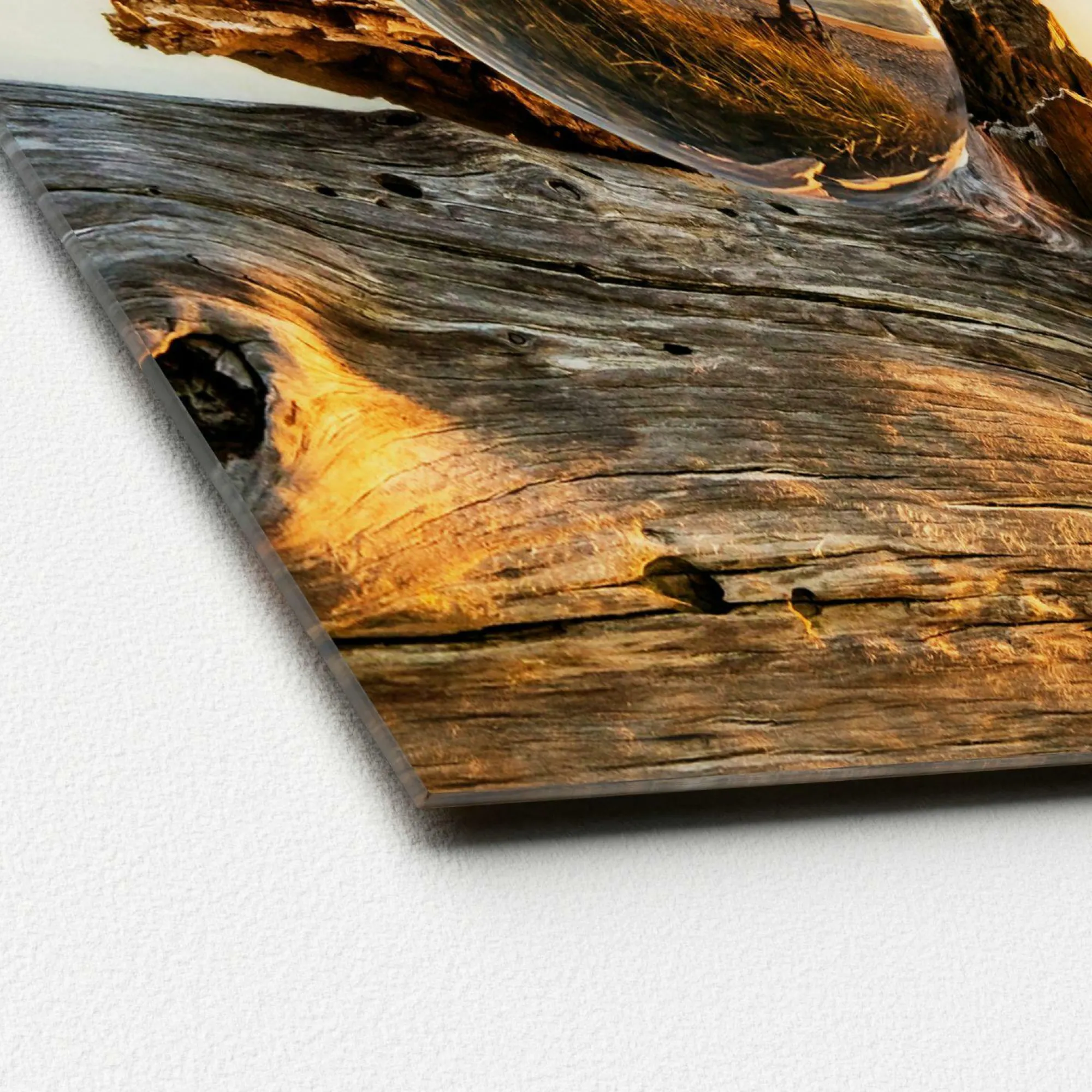 Best Sonstige Glasbild DROP ON WOOD