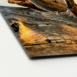 Best Sonstige Glasbild DROP ON WOOD