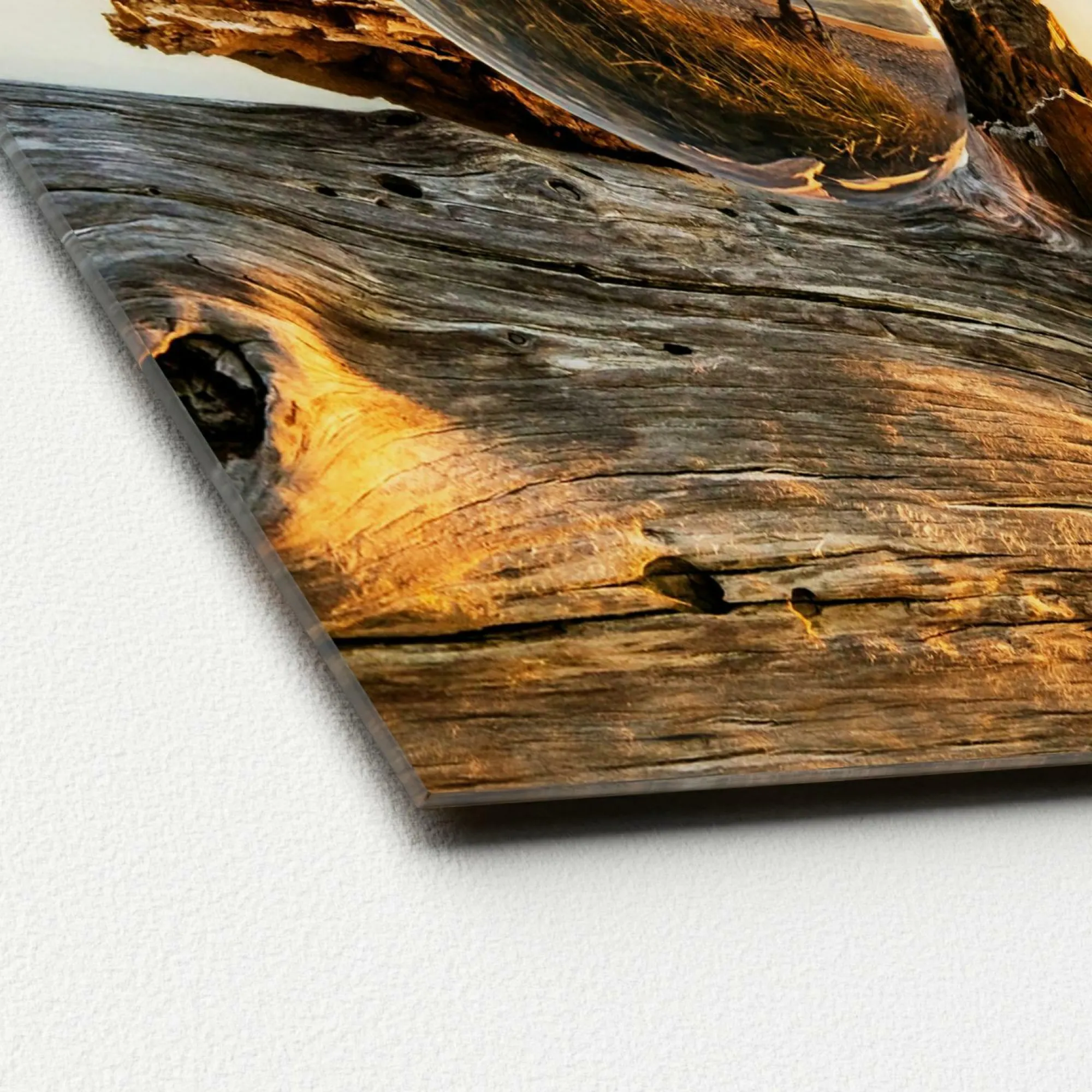 Best Sonstige Glasbild DROP ON WOOD