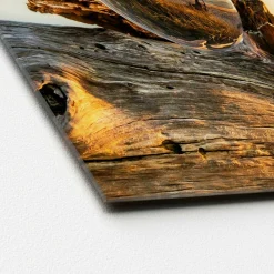 New Sonstige Glasbild DROP ON WOOD