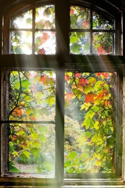 Sonstige Glasbild FENSTER MIT LAUB