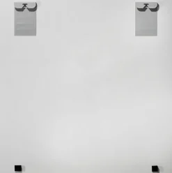 Clearance Sonstige Glasbild KÖNIG DER LÖWERN