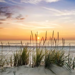 Clearance PRO ART Glasbild LONELY DUNE