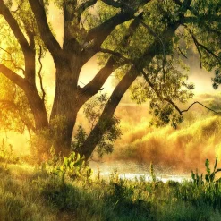 PRO ART Glasbild MISTY LANDSCAPE I