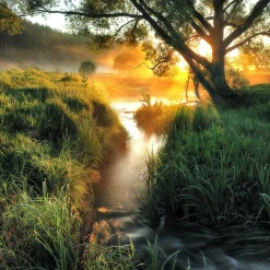 PRO ART Glasbild MISTY LANDSCAPE II