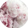 PRO ART Glasbild PEONIES II