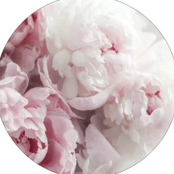 PRO ART Glasbild PEONIES II
