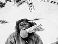 Online Sonstige Glasbild SCHIMPANSEN IM GELD