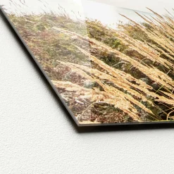 PRO ART Glasbild SUNRISE