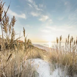 PRO ART Glasbild WILDER STRAND III