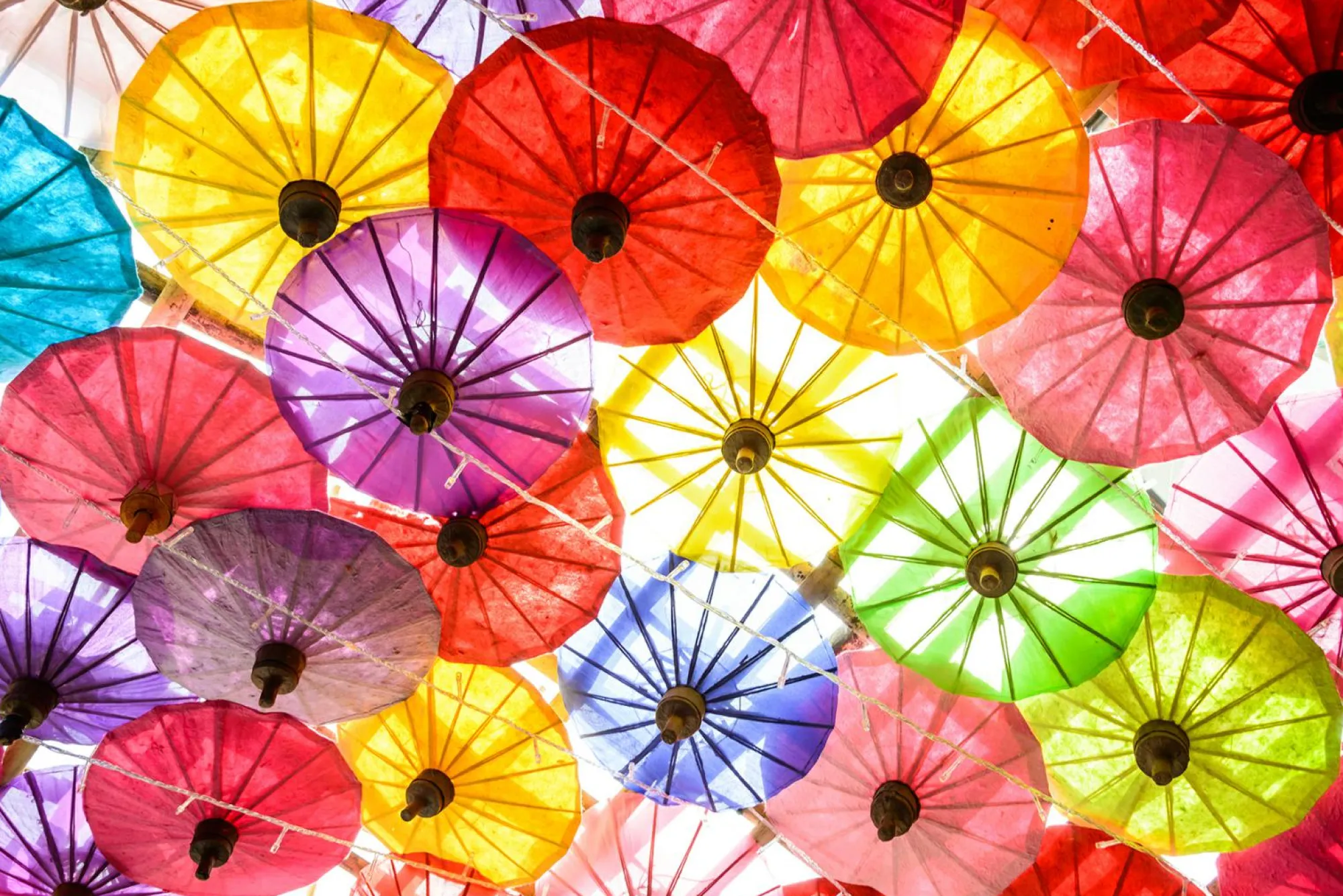 Sale queence Keilrahmenbild COLORFUL World