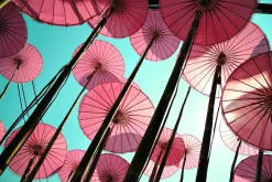 queence Keilrahmenbild COLORFUL World