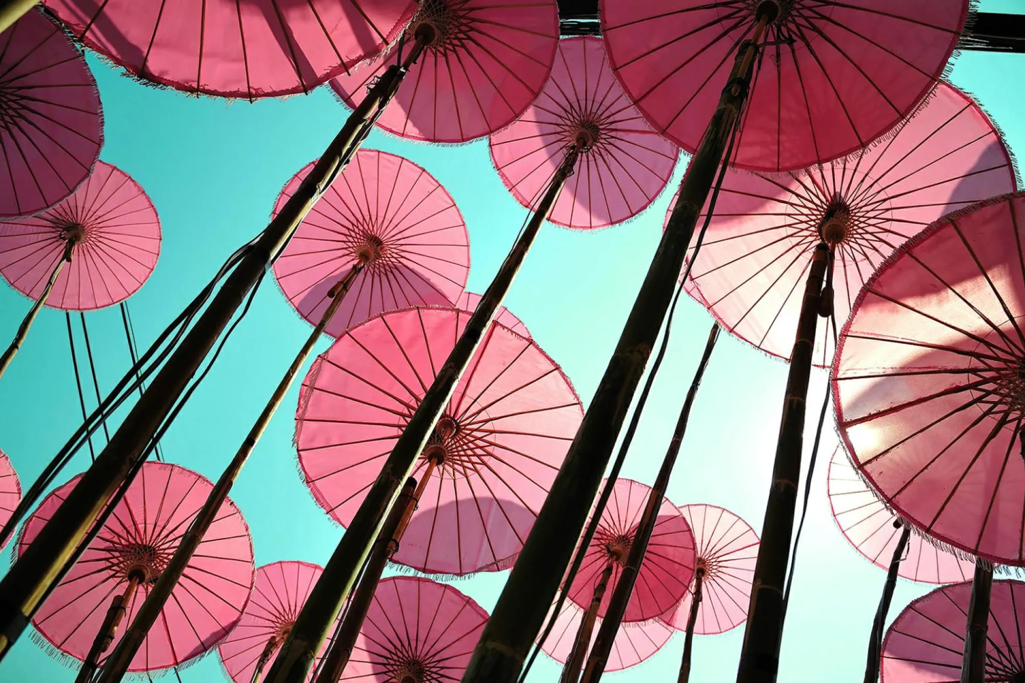 queence Keilrahmenbild COLORFUL World