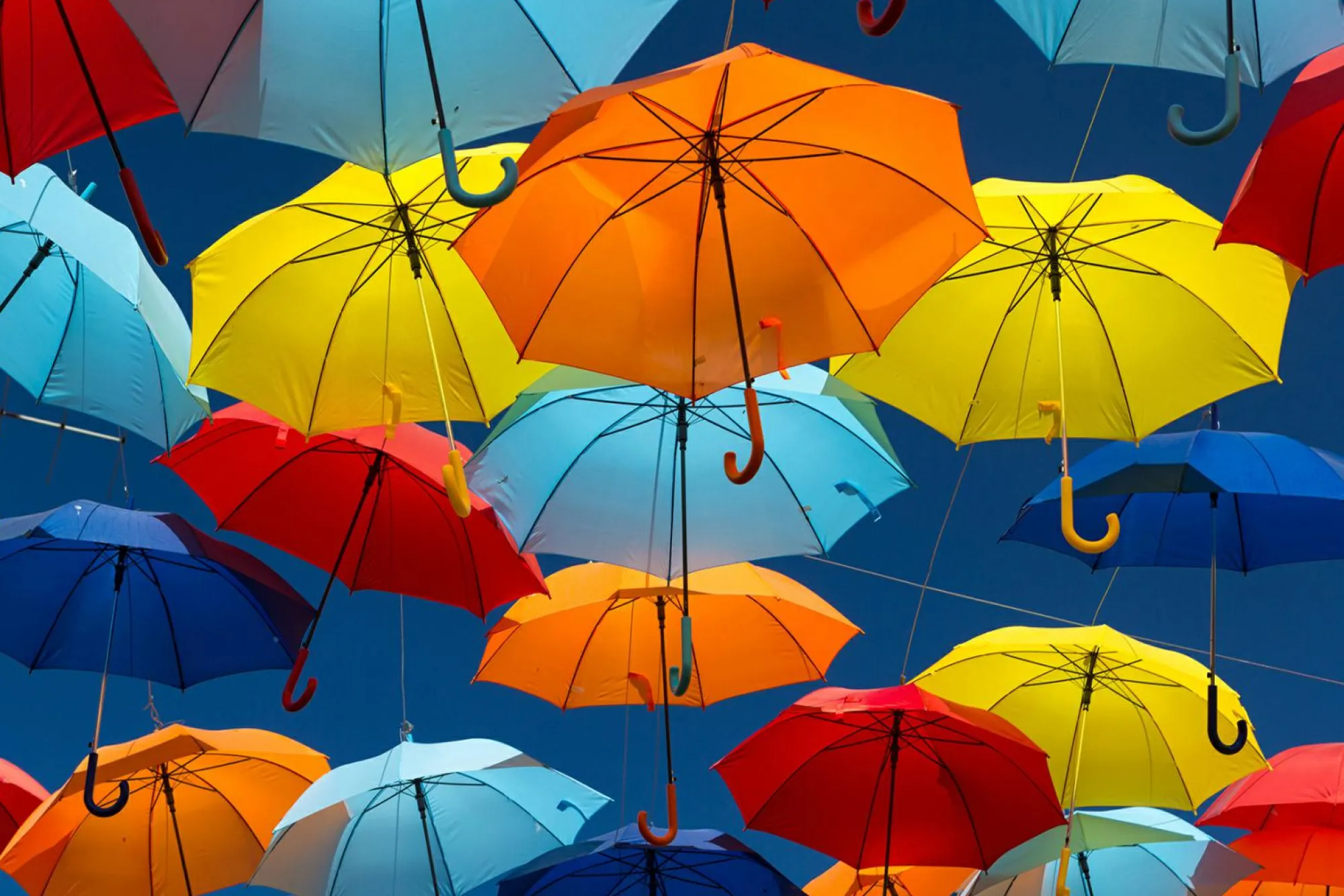 Hot queence Keilrahmenbild COLORFUL World