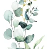 PRO ART Keilrahmenbild EUCALYPTUS