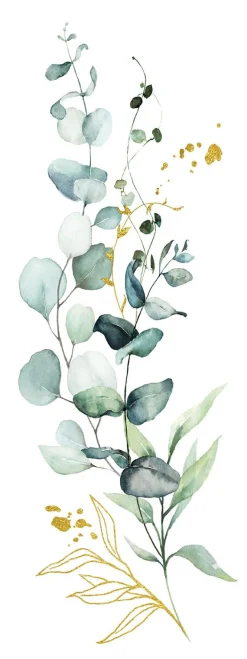 PRO ART Keilrahmenbild EUCALYPTUS