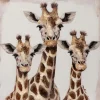 Clearance Sonstige Keilrahmenbild GIRAFFEN TRIO