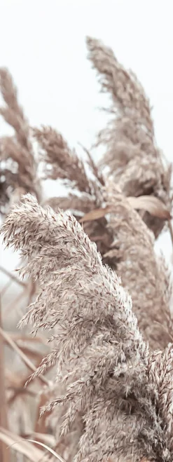 Discount PRO ART Keilrahmenbild IN THE BREEZE