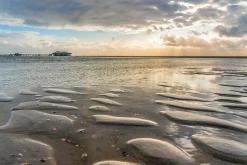 queence Keilrahmenbild Sylt