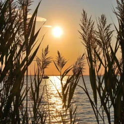 queence Keilrahmenbild Sylt