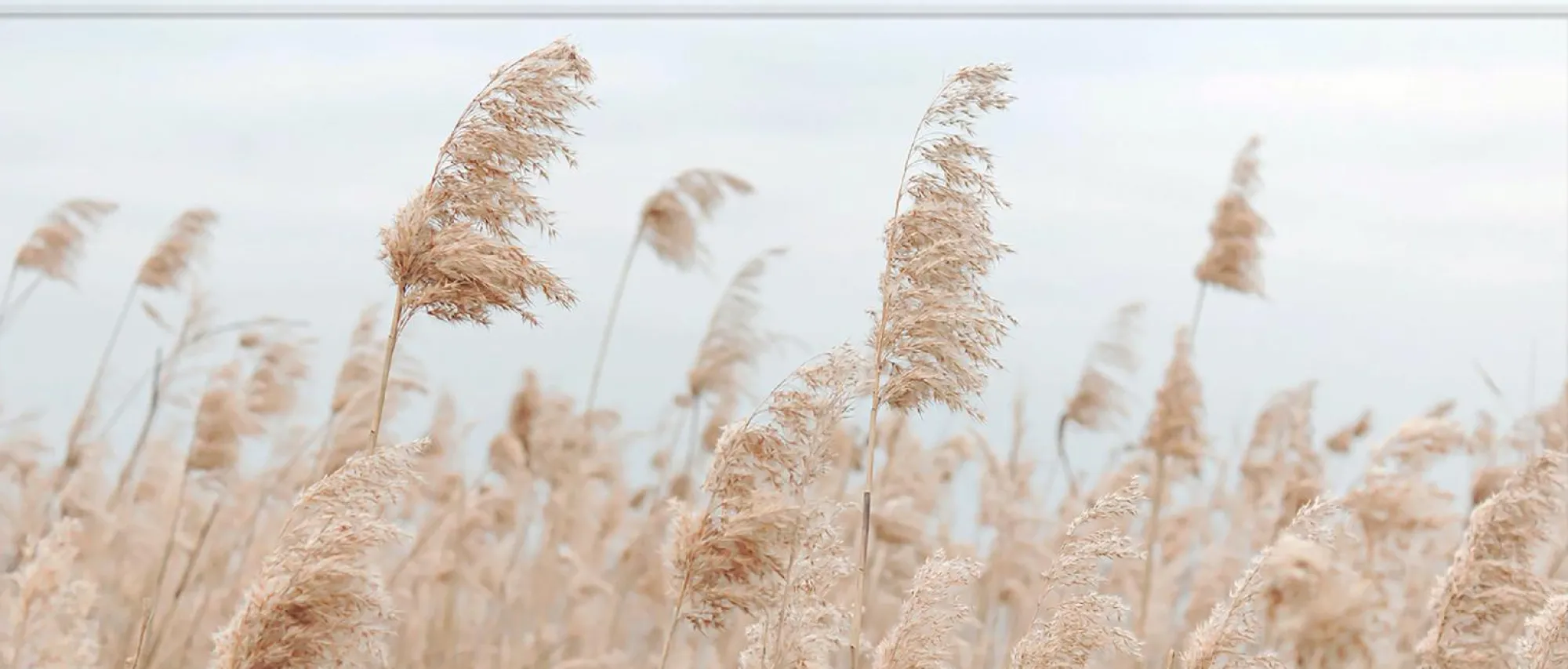 Sonstige Keilrahmenbild WINDSPIEL