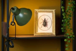 New LUCiDE Klemmleuchte MOYS