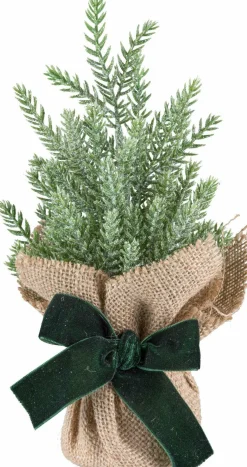 GASPER Koniferenbäumchen