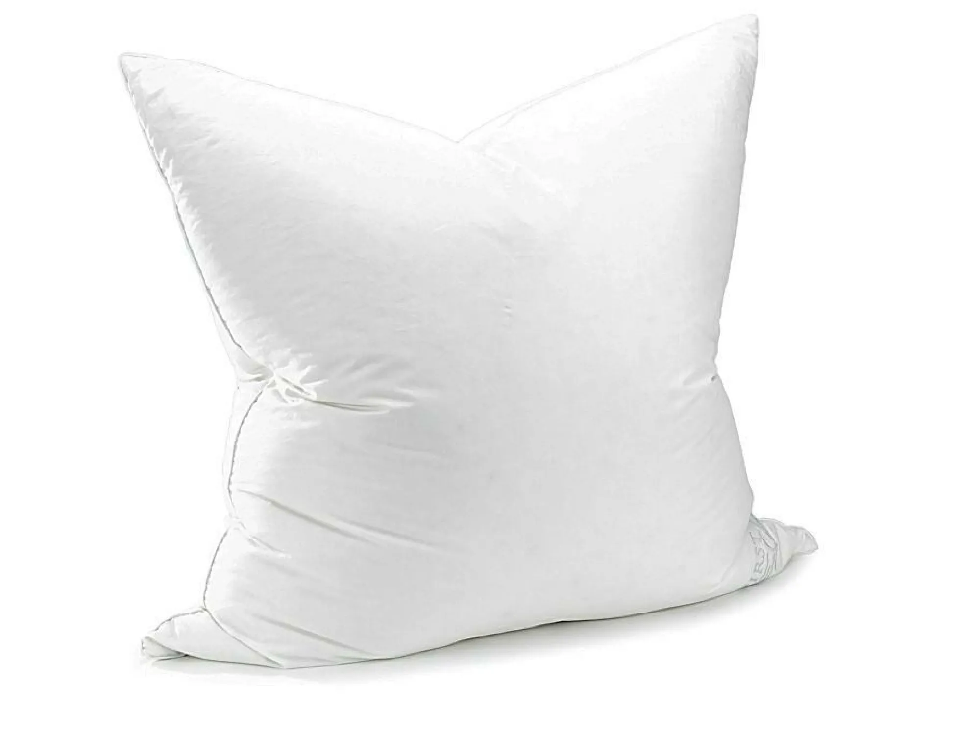 sanders Kopfkissen 1. CLASS